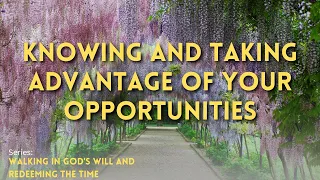 Knowing And Taking Advantage Of Your Opportunities — Denise Renner