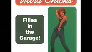 VA - Ultra Chicks Vol.1 Filles In The Garage Punk 60s Girls Band Music Compilation French Pop Album