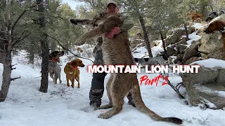 MOUNTAIN LION HUNTING with a BOW!! - Hound Hunting Big Lions in Utah with Tyler Bowler! (Part 2)