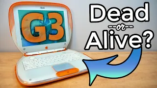 Testing Apple's FIRST iBook - Will it Work?