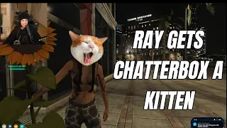 Ray Mond gets chatterbox a kitten