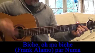 Biche, oh ma biche (Frank Alamo)  cover / reprise en guitare voix Sweets for My Sweet 1963