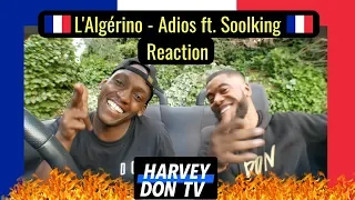 L'Algérino - Adios ft. Soolking - Reaction - HarveyDon TV