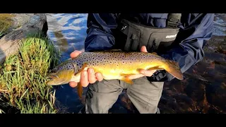 Cold Spring!!! Lure Trout fishing UK River