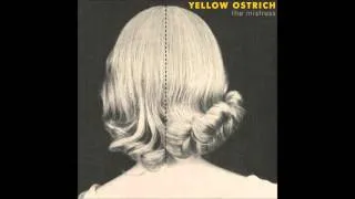 Libraries - Yellow Ostrich