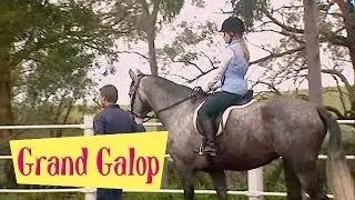 Grand Galop 205 - Il faut sauver Comanche | HD | Épisode Complet