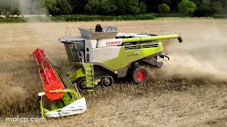 4Kᵁᴴᴰ Harvest 2023: Claas Lexion 770 TT cutting OSR in Peasenhall, Suffolk.