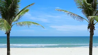 10 Hours of Tropical Beach Ocean Waves Crashing for Deep Sleep, Insomnia Relief