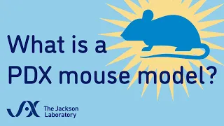 What is a PDX mouse? | Animation | Minute to Understanding