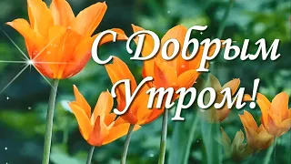 С добрым весенним утром!🌷☀️Солнечного дня! Красивая музыкальная открытка!