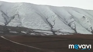 НОЕВ КОВЧЕГ/Иследование продолжаются/1/