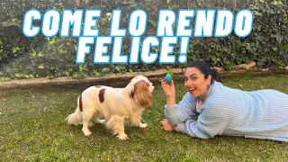 PERCHE' PABLO E' UN CANE FELICE *vlog completo*/ lea e pablo