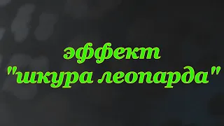 художественная "декоративка" часть2  эффект шкуры леопарда