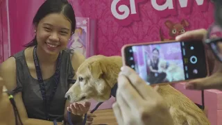 Pet lovers went on 'dates' with rescued animals to celebrate Valentine's Day