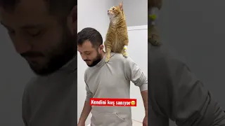 Kendini kuş sananlarda bugün 😅