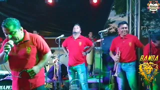 Banda Felina | Mi Indiferencia & Que Voy a decir En Vivo 2023 | San Juan Guichicovi Oax