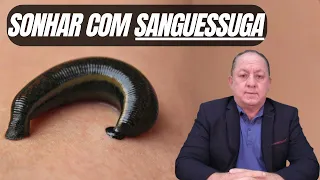 O QUE SIGNIFICA SONHAR COM SANGUESSUGA