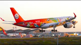 Close Up Plane Spotting at Los Angeles Int'l Airport, LAX | 26-04-24