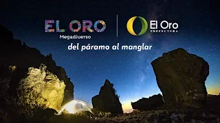 documentary | El Oro megadiverse, from de moor to mangrove