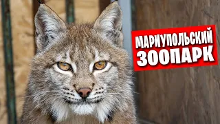 Мариупольский зоопарк / Посещение поликлиники / Улицы Донбасская и Гонды