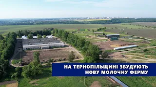 На Тернопільщині збудують нову молочну ферму