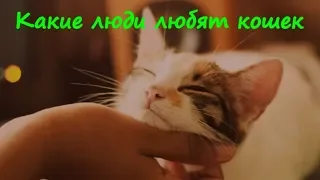 ПОЧЕМУ ЛЮДИ ЛЮБЯТ КОШЕК  WHY PEOPLE LOVE CATS