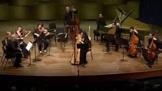 G.F. Handel: Harp Concerto  - Sarah Ridy - Barrocade