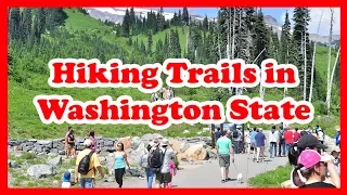 5 Top-Rated Hiking Trails in Washington State | US Hikes Guide