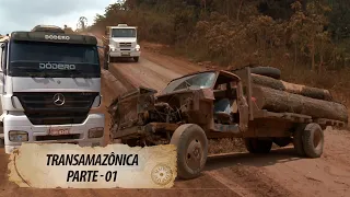 Transamazônica 01