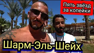 Египет 🇪🇬 Шикарный пляж Sharm Dreams Resort Бухта Наама Бей  Шарм Эль Шейх питание бары и аквапарк