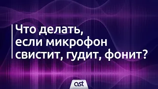 Что делать, если микрофон свистит, гудит, фонит?