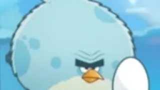Angry Birds Seasons On Finn Ice 21-25 and bonus levels
