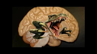 Как работает рептильный мозг?