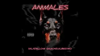 ANIMALES LOVE GG FT SALADIE , KOND , ALBERTIKO