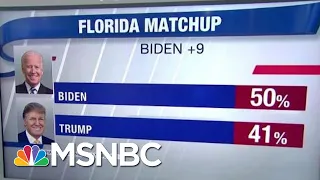 New Poll Shows Biden And Other Democrats Beating President Trump In Florida | Hardball | MSNBC