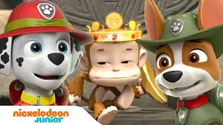 Paw Patrol : La Pat' Patrouille | Tracker le ranger de la jungle | Nick Jr.