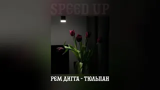 Рем Дигга - Тюльпан (speed up)