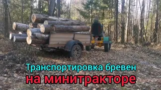 Транспортировка брёвен на минитракторе.Transportation of logs on a minitractor.
