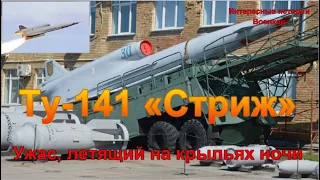 Ту-141 «Стриж». Ужас, летящий на крыльях ночи