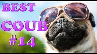 BEST СOUB #14 | Лучшие Приколы | Подборка март 2018