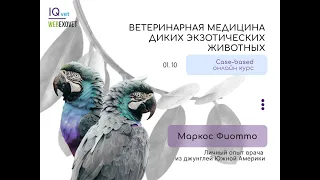 Фрагмент курса "Ветеринарная медицина экзотических животных": Распространенная патология у ежей