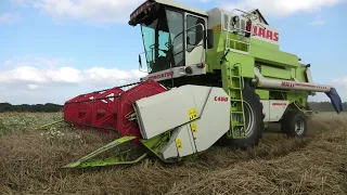 GERST DORSEN MET EEN CLAAS DOMINATOR 88 SL MAXI