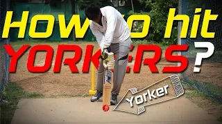 How to hit YORKERS ? Cricket Batting tips | Nothing But Cricket