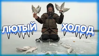 В лютый холод с летней прикормкой! Дядя Фёдор ломает стереотипы зимней рыбалки!