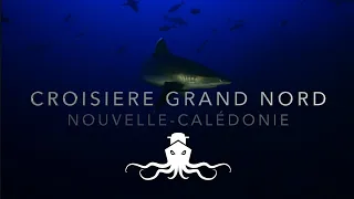 Croisière plongée "Grand Nord" NOUVELLE CALÉDONIE avec ENJOY DIVING