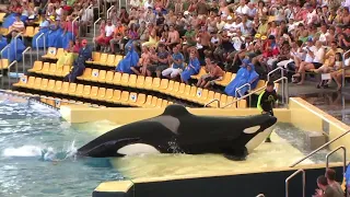 2005  ORCAS EN LORO PARQUE DE TENERIFE