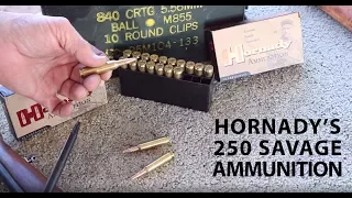 Hornady's New Loading for the 250 Savage: Tested in a Vintage Savage Model 99