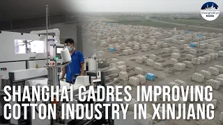 Shanghai cadres building cotton-centered industrial chain in major producing area in Xinjiang