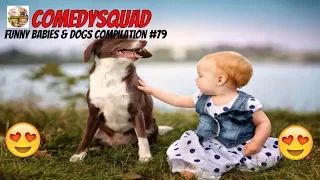 Dogs and Babies are Best Friends-Funny Babies & Dogs Compilation #79