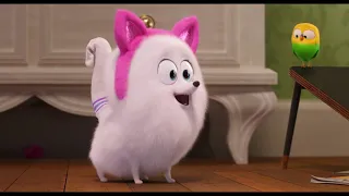 THE SECRET LIFE OF PETS 2 - El Trailer de Gidget  [HD]